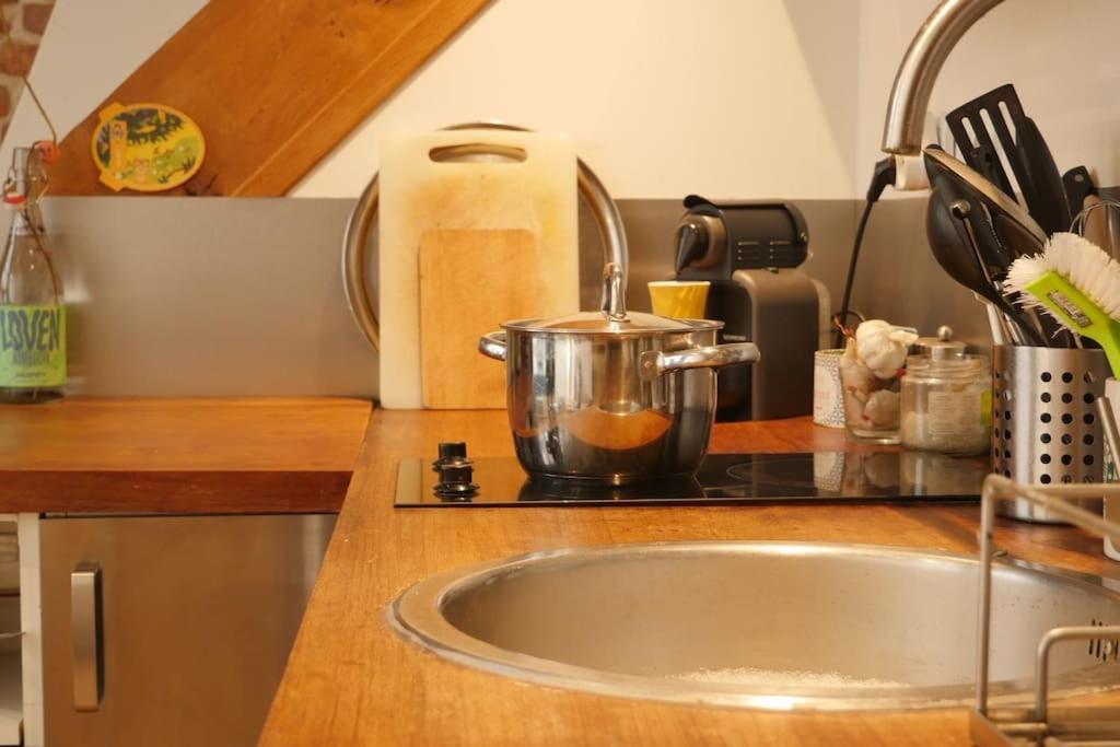 Oparadi 'Le Vieux Lille' A Deux Pas Des Boutiques Et Restaurants Exteriör bild